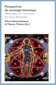 Image de Perspectives de sociologie historique
