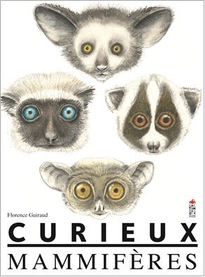 Image de Curieux mammifères