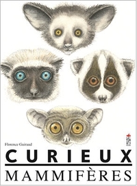 Image de Curieux mammifères