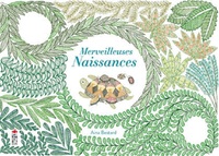 Image de Merveilleuses Naissances