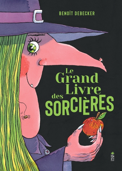 Image de Le grand livre des sorcières