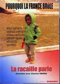Image de POURQUOI LA FRANCE BRULE LA RA