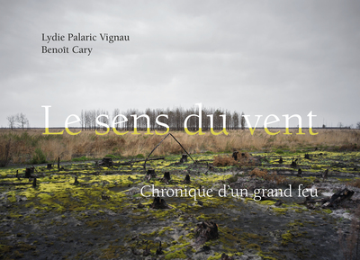 Image de LE SENS DU VENT