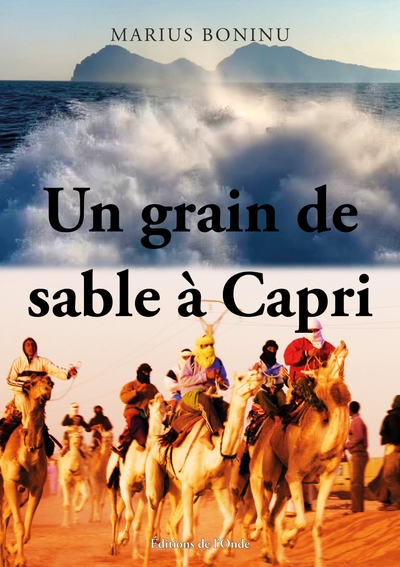 Picture of Un grain de sable à Capri