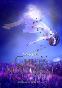 Picture of Chute nocturne