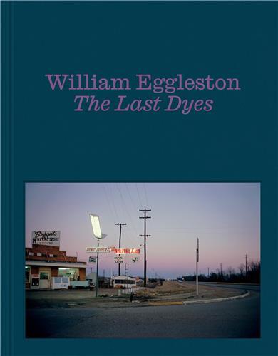 Picture of William Eggleston The Last Dyes /anglais