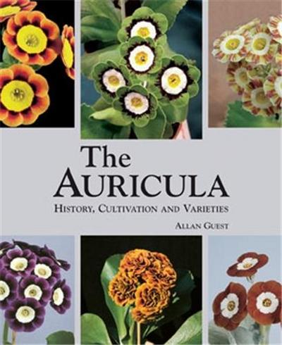 Picture of The Auricula History Cultivation and Varieties /anglais