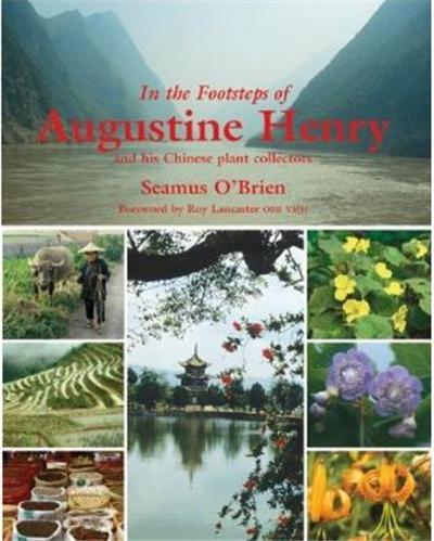 Picture of In the Footsteps of Augustine Henry and his Chinese Plant Collectors /anglais