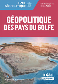 Image de Géopolitique des pays du Golfe