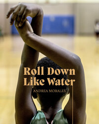 Picture of Andrea Morales : Roll Down Like Water