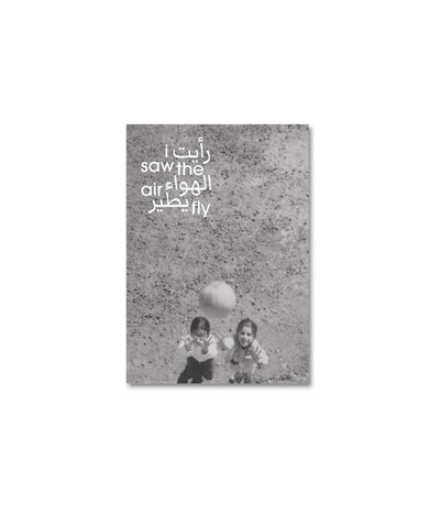Image de I SAW THE AIR FLY