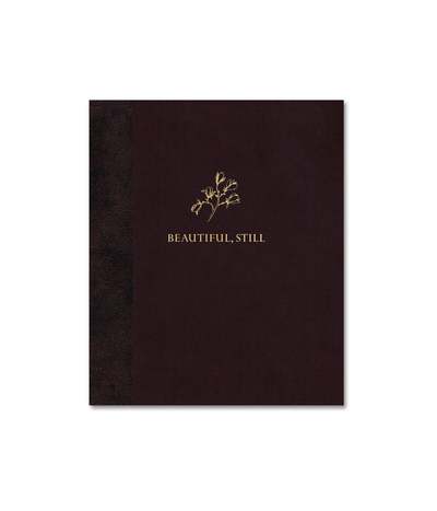 Image de Stutter of History