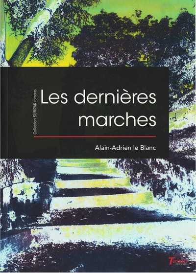 Picture of Les dernières marches