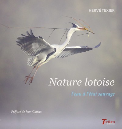 Picture of NATURE LOTOISE