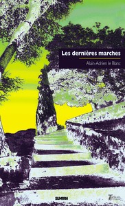 Image de Les dernières marches (ed. poche "luxe")