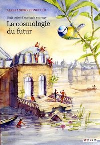 Image de La cosmologie du futur