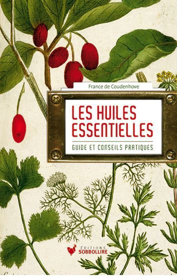 Image de Les huiles essentielles