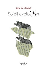 Picture of Soleil explosion