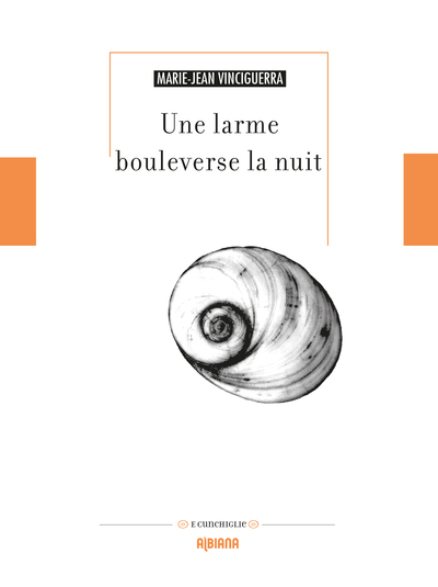 Picture of Une larme bouleverse la nuit