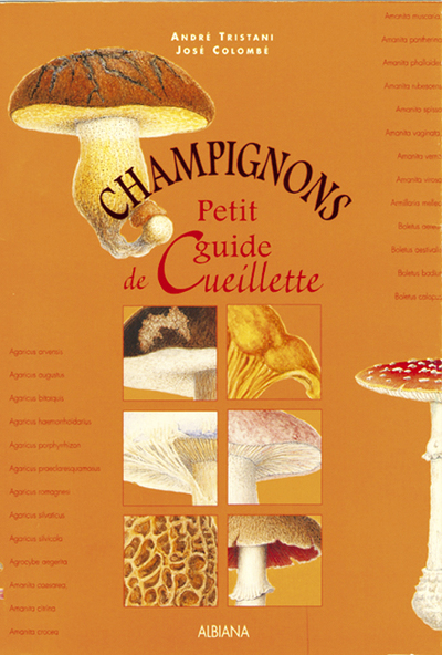 Image de Champignons - Petit guide de cueillette