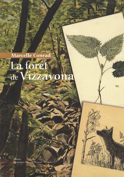 Picture of La forêt de Vizzavona