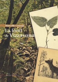 Picture of La forêt de Vizzavona