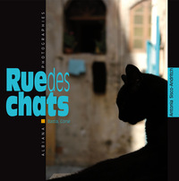 Picture of Rue des chats - Bastia, Corse