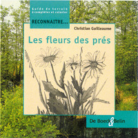 Picture of Les fleurs des prés