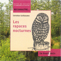 Image de Les rapaces nocturnes