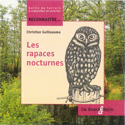 Picture of Les rapaces nocturnes