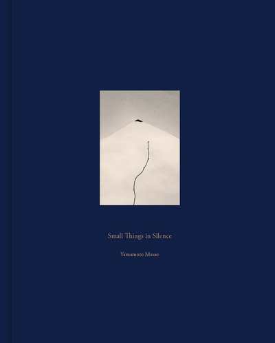 Image de Masao Yamamoto Small Things in Silence /anglais