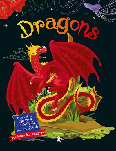 Picture of Dragons