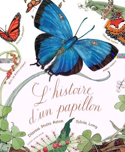 Image de L'histoire d'un papillon
