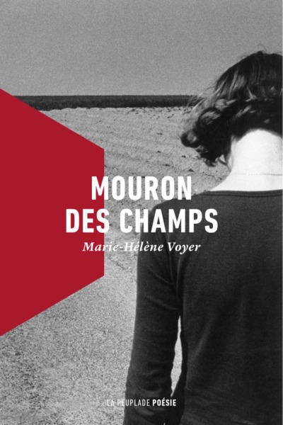 Image de Mouron des champs