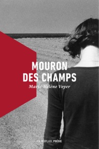 Image de Mouron des champs