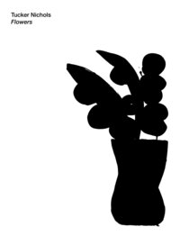 Picture of Flowers