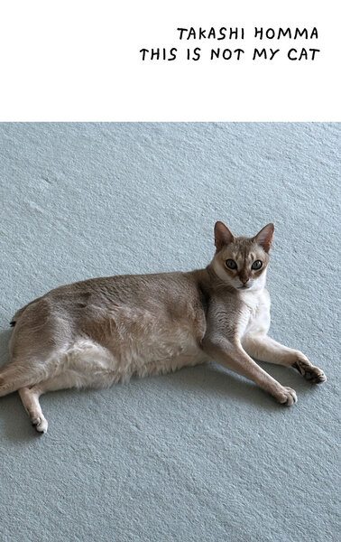 Image de This Is Not My Cat