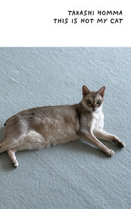 Image de This Is Not My Cat