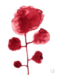 Picture of Les Fleurs