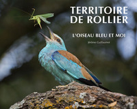 Image de Territoire de Rollier - L'oiseau bleu et moi