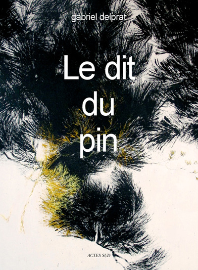 Image de Le dit du pin