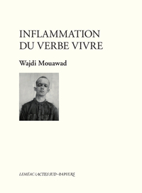 Image de Inflammation du verbe vivre