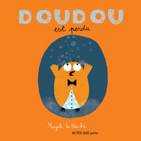 Image de Doudou est perdu