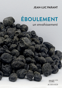 Picture of Éboulement : un envahissement