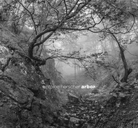 Image de Arbor