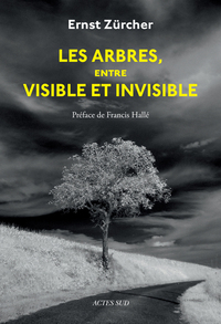 Picture of Les Arbres, entre visible et invisible