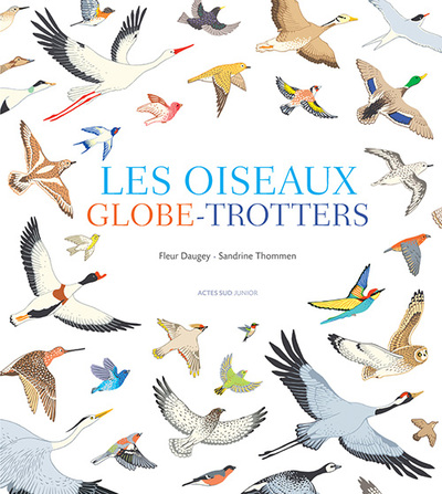 Picture of Les oiseaux globe-trotters