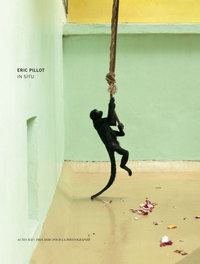 Image de Eric Pillot In situ - Prix HSBC pour la photographie 2012
