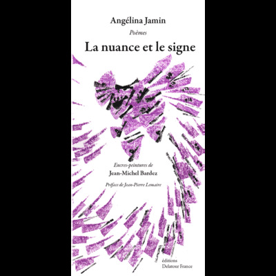 Image de La nuance et le signe