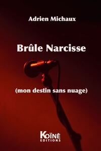Picture of Brûle Narcisse mon destin sans nuage